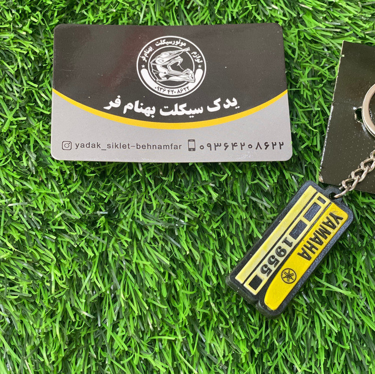 جاسوئیچی سیلیکونی تک رو
